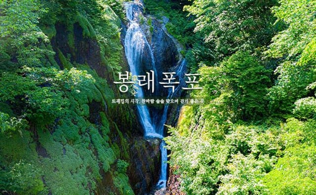 gyeongbug-ulreung-bongraepogpo-iyonggweon_1